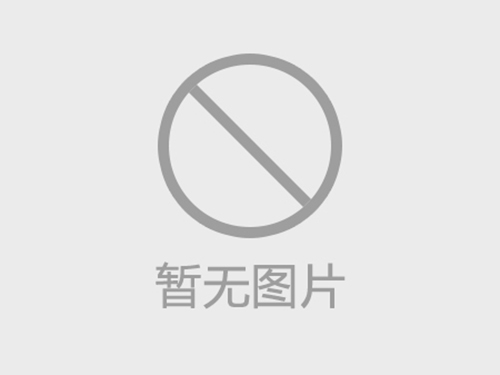 甘肃配电柜：电力系统的关键枢纽与行业变革先锋